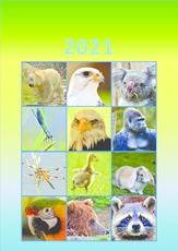 Tier_Kalender_2021_8.pdf